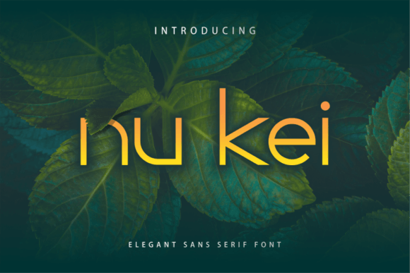 Nu Kei: A Clean Display Font for Modern Brands