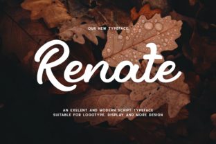 Renate Font Makes Campaign Headlines Impossible to Ignore